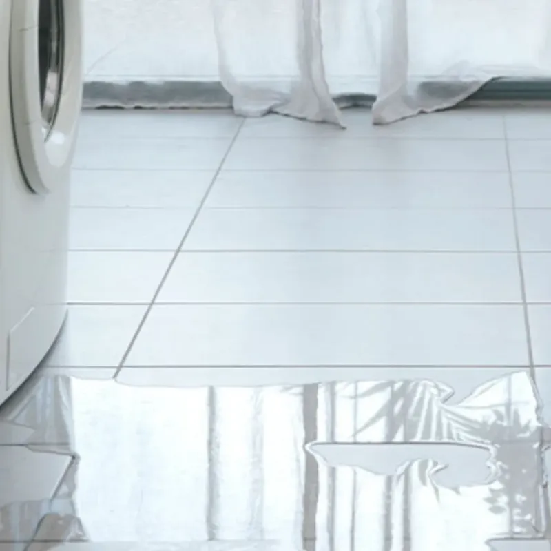Appliance Leak Cleanup in Cottage Grove, WI
