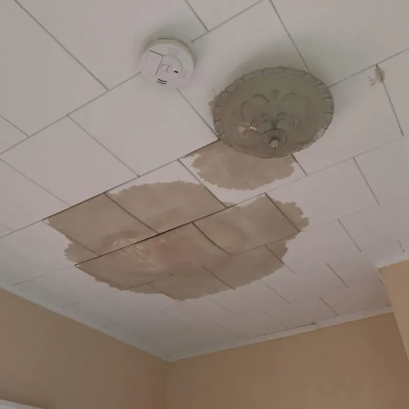 Ceiling Water Damage Repair in Cottage Grove, WI